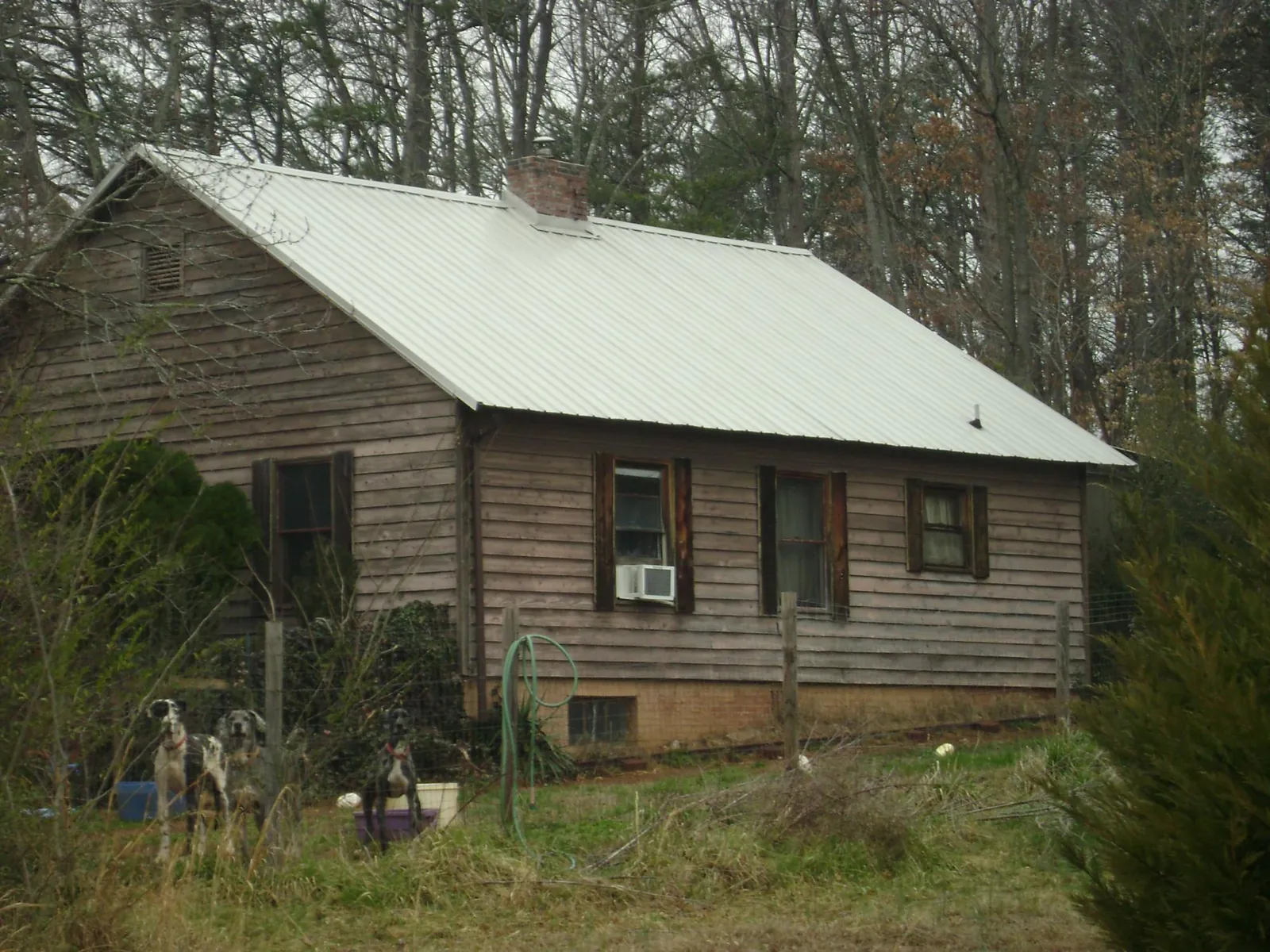 White metal roof on an old wood sided farmhouse, from a Asphalt Shingle Roof Repair job in Shade Gap
